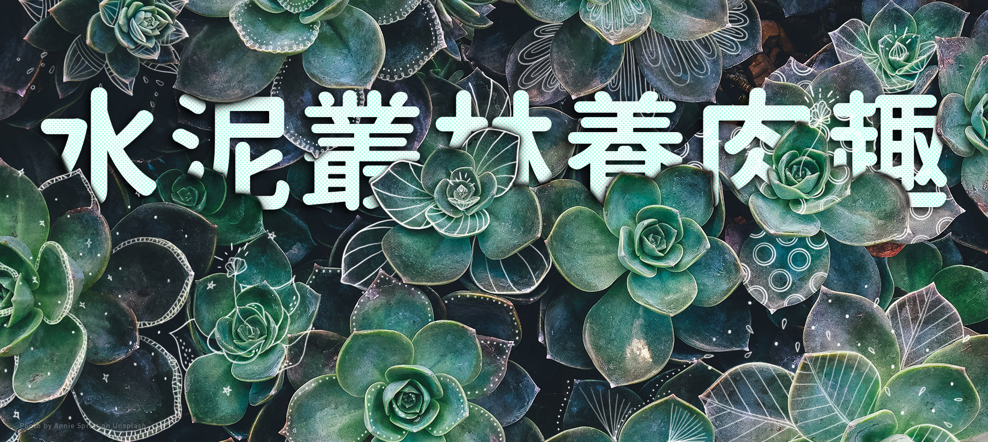 文章圖片